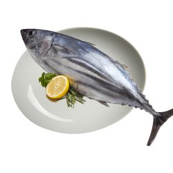 বড় টুনা মাছ  - ১ কেজি+